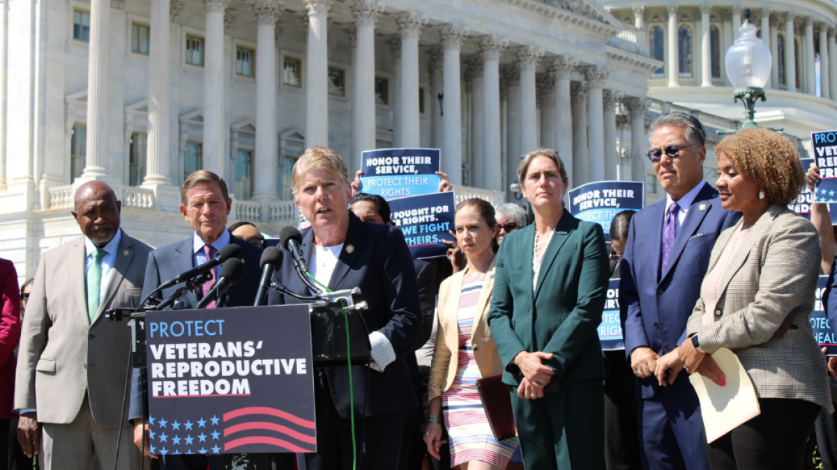 Task Force Chair Julia Brownley speaks at press conference.