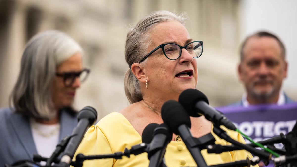 Rep. Susan Wild at World IVF Day press conference