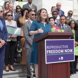 Reproductive Freedom Caucus Members