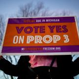 Michigan Reproductive Freedom Campaign Sign