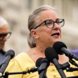 Rep. Susan Wild at World IVF Day press conference