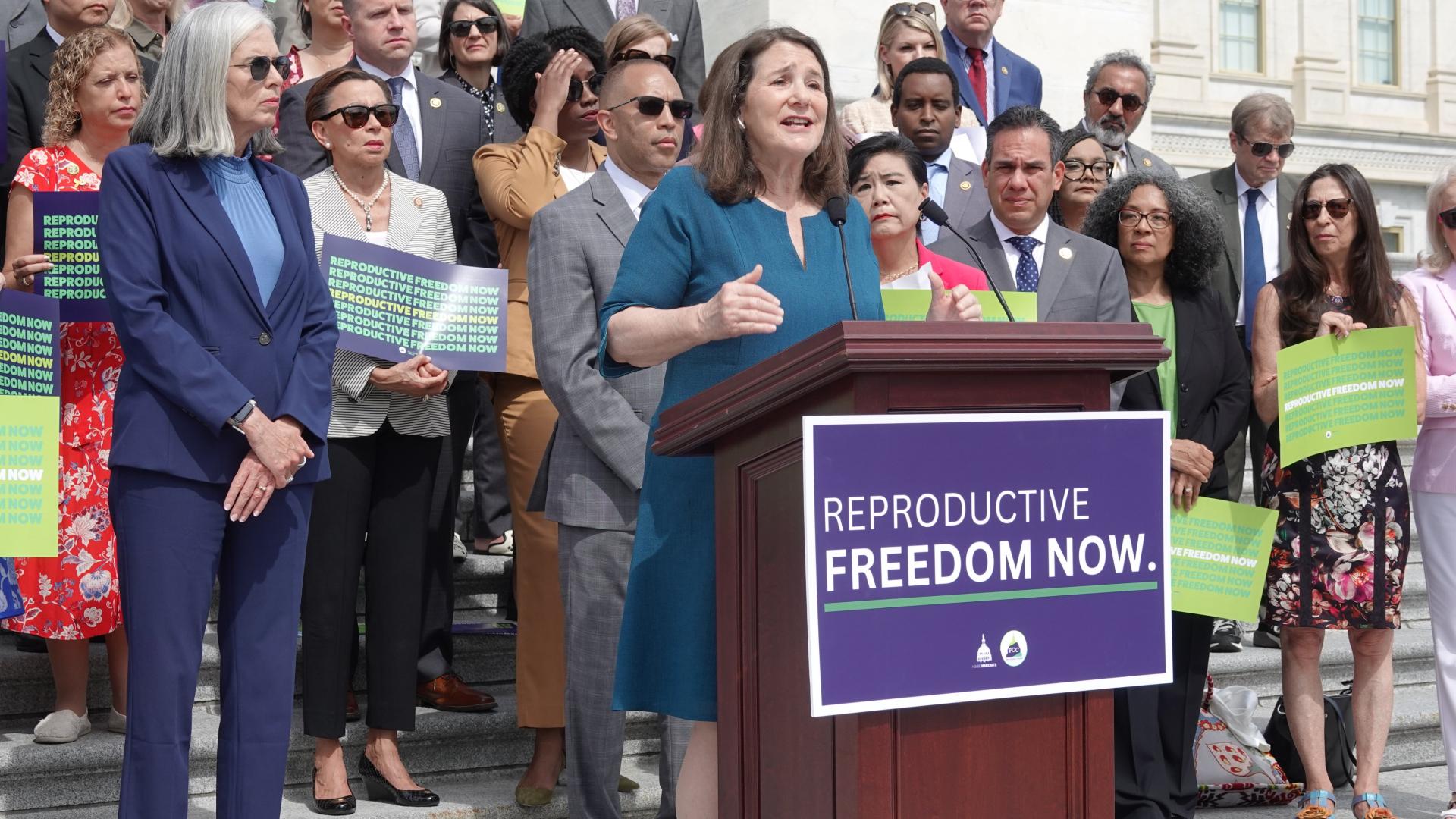 Reproductive Freedom Caucus Members