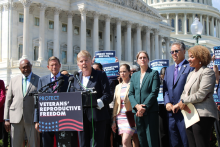 Task Force Chair Julia Brownley speaks at press conference.