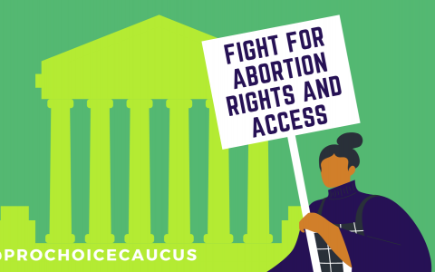 Fight for Abortion Rights Green TW
